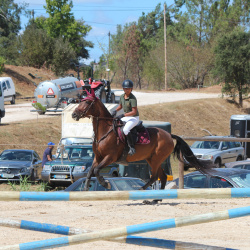 2026-08-09-Ansiao